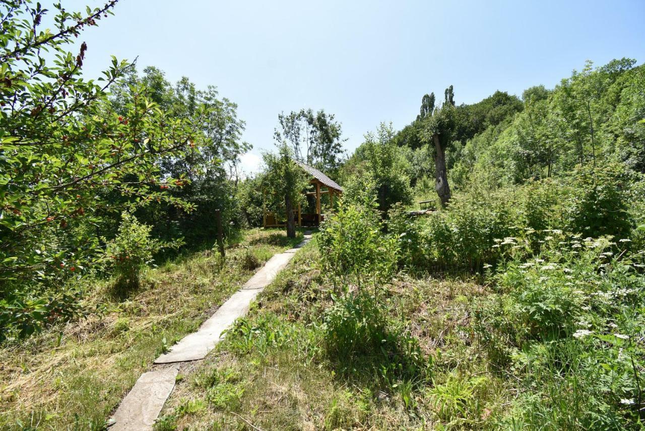 Guest House Arsan Tsaghkadzor Bagian luar foto
